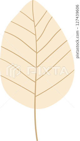 Minimalist illustration of a stylized beige leaf against a black background. Minimalist illustration of a stylized beige leaf against a black background. 127439606
