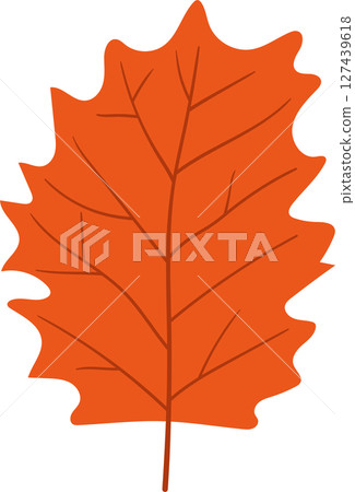 Isolated orange maple leaf with detailed vein structure on a black background. Isolated orange maple leaf with detailed vein structure on a black background. 127439618