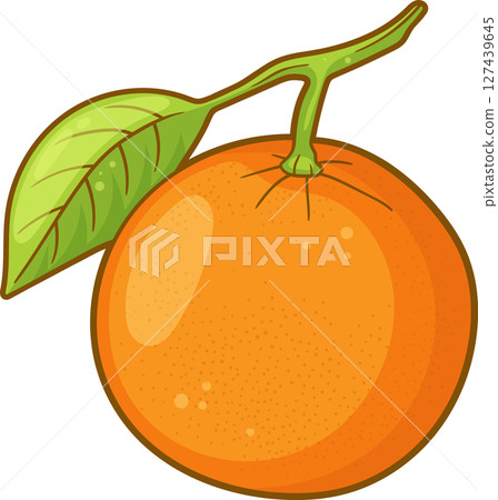 Bright orange fruit with a green leaf, highlighted against a black background. 127439645