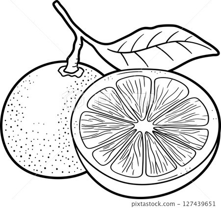 Complete blackness, lack of detail and visual representation or clarity. Complete blackness, lack of detail and visual representation or clarity. 127439651