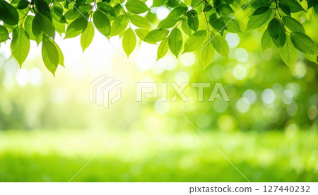 AI image: Fresh green leaves illuminated by the sun 127440232