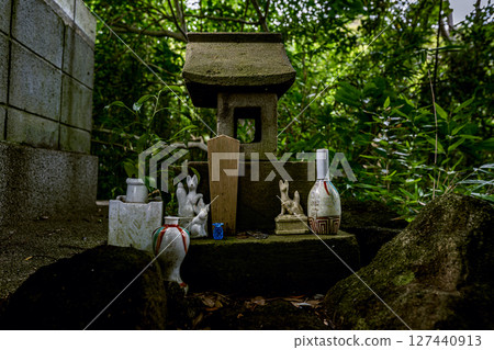 神奈川縣葉山町守山神社森林中靜靜佇立的小神社和狐狸雕像 神奈川縣葉山町守山神社森林中靜靜佇立的小神社和狐狸雕像 127440913