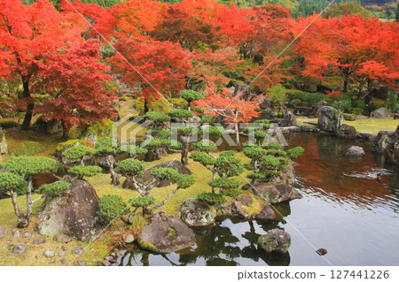 Autumn Kei Sekien (Yabakei/Nakatsu City) 127441226