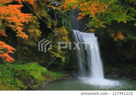 Jion Falls in autumn (Kuju Town, Oita Prefecture) 127441228