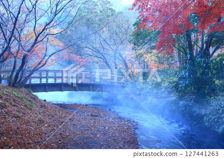 Around Kinrinko Lake in autumn (Yufuin-cho, Yufu City) Around Kinrinko Lake in autumn (Yufuin-cho, Yufu City) 127441263