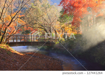 Around Kinrinko Lake in autumn (Yufuin-cho, Yufu City) Around Kinrinko Lake in autumn (Yufuin-cho, Yufu City) 127441264