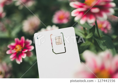 SIM card mount and flowers SIM card mount and flowers 127441556