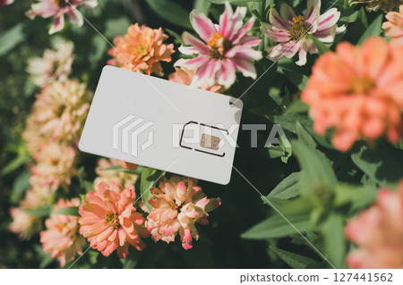 SIM card mount and flowers 127441562