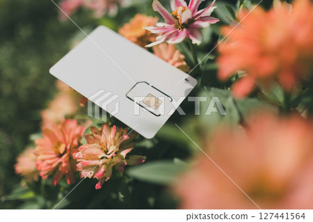 SIM card mount and flowers 127441564