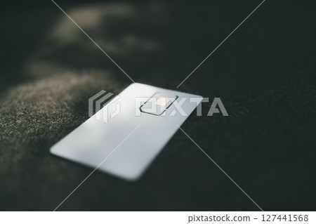 SIM card mount 127441568