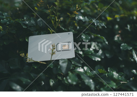 SIM卡座和植物 127441571