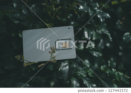 SIM卡座和植物 127441572