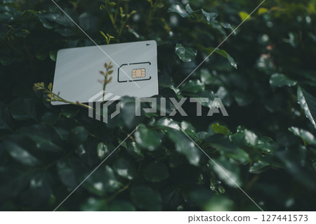 SIM卡座和植物 127441573