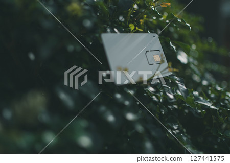 SIM card mount and Japanese fraxinus 127441575