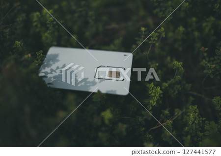SIM card mount and plants 127441577