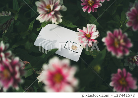 SIM卡座位和鮮花 127441578