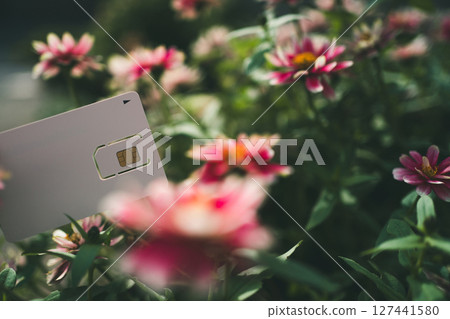 SIM卡座位和鮮花 SIM卡座位和鮮花 127441580
