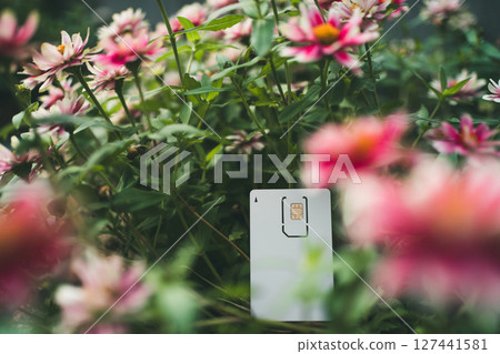 SIM卡座位和鮮花 SIM卡座位和鮮花 127441581
