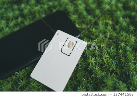 SIM card mount and smartphone SIM card mount and smartphone 127441592