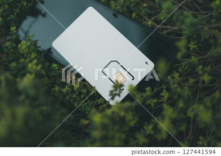 SIM card holder and smartphone 127441594