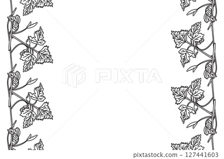 Line art botanical floral vertical border with grapevine isolated on white background. Hand drawn outline vine plant with long stem and leaves vector illustration. Graphic design element for Birthday 127441603