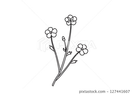 Line art botanical floral meadow bouquet doodle isolated on white background. Hand drawn outline three wildflower plant with flowers vector illustration. Graphic design element for Birthday Wedding 127441607
