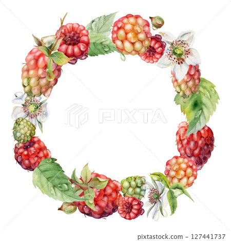 Raspberry wreath with flowers berries leaves in dew drops, water splash hand drawn in watercolor. Ripe garden forest dewberry cloudberry mulberry isolated circle frame. Fresh grocery drinks, preserves 127441737