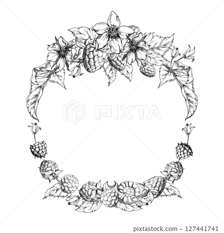 Raspberry ripe garden berries flower buds leaves wreath, hand drawn in vector ink. Dewberry cloudberry mulberry loganberry tayberry. Isolated circle frame illustration. Wedding stationery florist shop 127441741