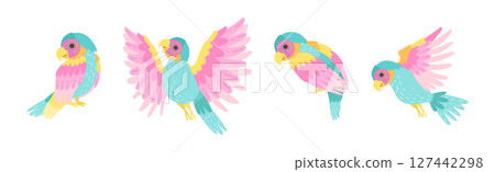 Funny Tropical Parrot with Bright Feathered Wings Vector Set 127442298