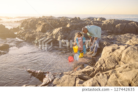 Family, children and beach with a father and daughter bonding by a rock pool during summer together. Kids, fishing or love with a man and girl playing in the water with a net and bucket for fun Family, children and beach with a father and daughter bonding by a rock pool during summer together. Kids, fishing or love with a man and girl playing in the water with a net and bucket for fun 127442635