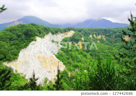 白神山（日本峽谷） 127442686