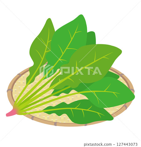 菠菜 菠菜 127443073