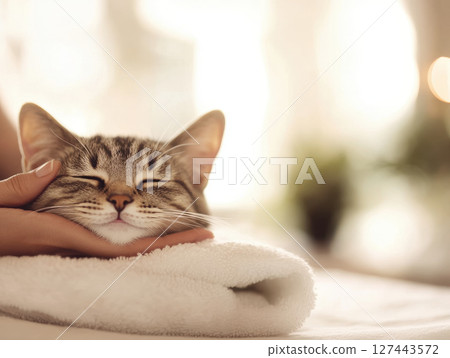 content cat enjoys gentle touch, resting peacefully on soft towel 127443572
