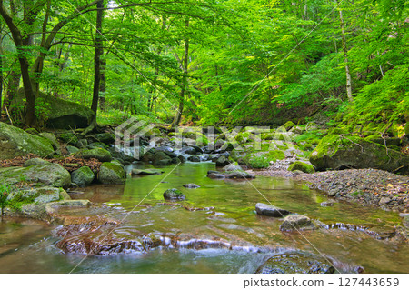 Miyagawa River flowing through the Miyagawa Valley in Yaita City, Tochigi Prefecture Miyagawa River flowing through the Miyagawa Valley in Yaita City, Tochigi Prefecture 127443659