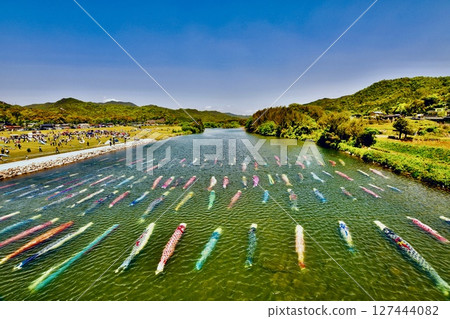Many carp streamers swimming in the river 127444082