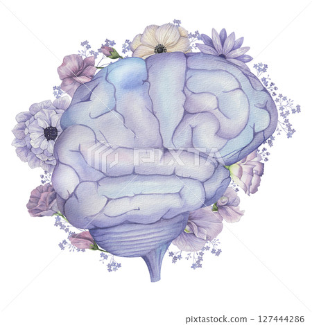 Watercolor illustration of a blooming human Brain with flowers Watercolor illustration of a blooming human Brain with flowers 127444286
