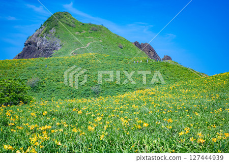 Onogame, Sado Island, where Tobishima day lilies bloom 127444939