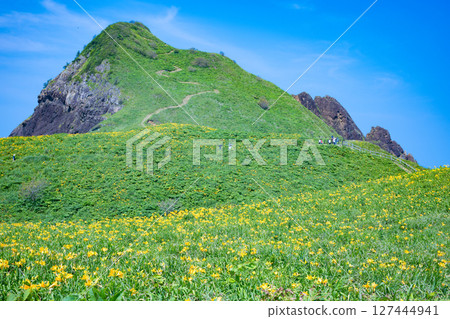 飛島黃花菜盛開的佐渡島小野 飛島黃花菜盛開的佐渡島小野 127444941