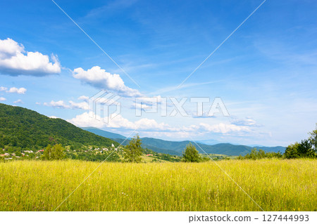evening summer landscape with grass field in mountains. countryside scenery of transcarpathia, ukraine with scenic view of distant ridge in delightful atmosphere under blue sky with puffy clouds 127444993