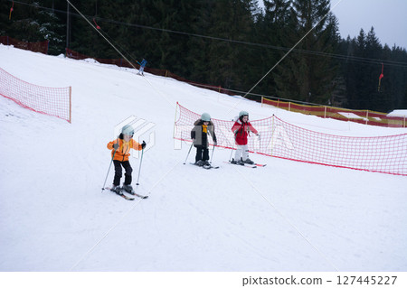 Young skiers practice their skills on a snowy slope surrounded by evergreen trees under a grey sky in a tranquil winter landscape 127445227