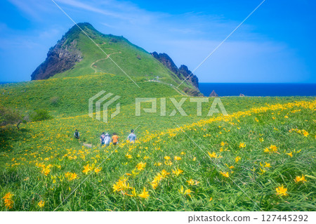 Onogame, Sado Island, where Tobishima day lilies bloom Onogame, Sado Island, where Tobishima day lilies bloom 127445292