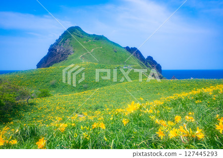 Onogame, Sado Island, where Tobishima day lilies bloom 127445293