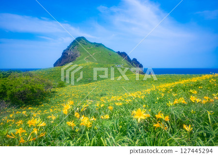 Onogame, Sado Island, where Tobishima day lilies bloom 127445294