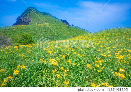 飛島黃花菜盛開的佐渡島小野 飛島黃花菜盛開的佐渡島小野 127445295