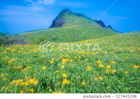 飛島黃花菜盛開的佐渡島小野 飛島黃花菜盛開的佐渡島小野 127445296