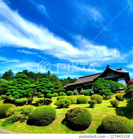 藍天上的龍雲和美麗的日本庭園 藍天上的龍雲和美麗的日本庭園 127445326