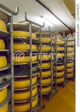 Cheese dairy plant warehouse with shelves stacked with cheese Cheese dairy plant warehouse with shelves stacked with cheese 127445675