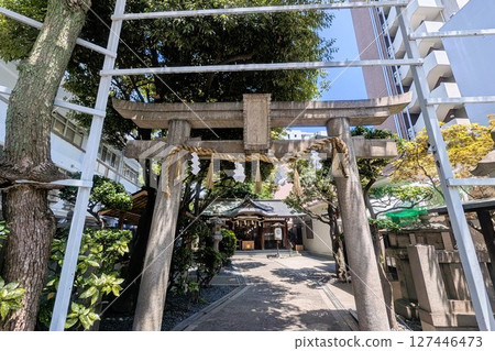 The torii gate of a shrine and the trees in the grounds on a sunny day The torii gate of a shrine and the trees in the grounds on a sunny day 127446473