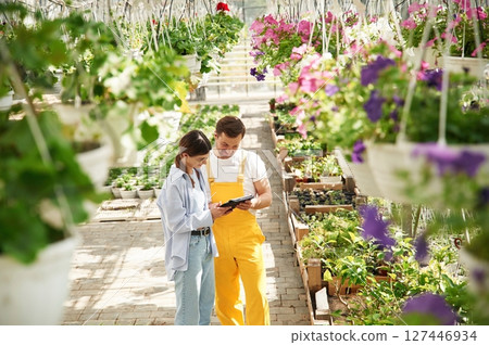 Orange colored uniform. Florist man and woman are working together in bright greenhouse 127446934