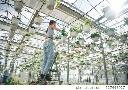Standing on the ladder, watering the plants. Beautiful florist woman working in garden center Standing on the ladder, watering the plants. Beautiful florist woman working in garden center 127447027